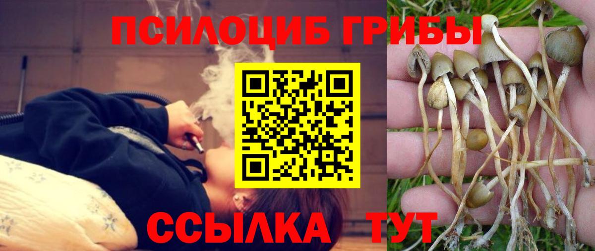 Ярославль  даркнет сайт  Галлюциногенные грибы Psilocybe  Вход с VPN  Галлюциногенные грибы Psilocybine cubensis 